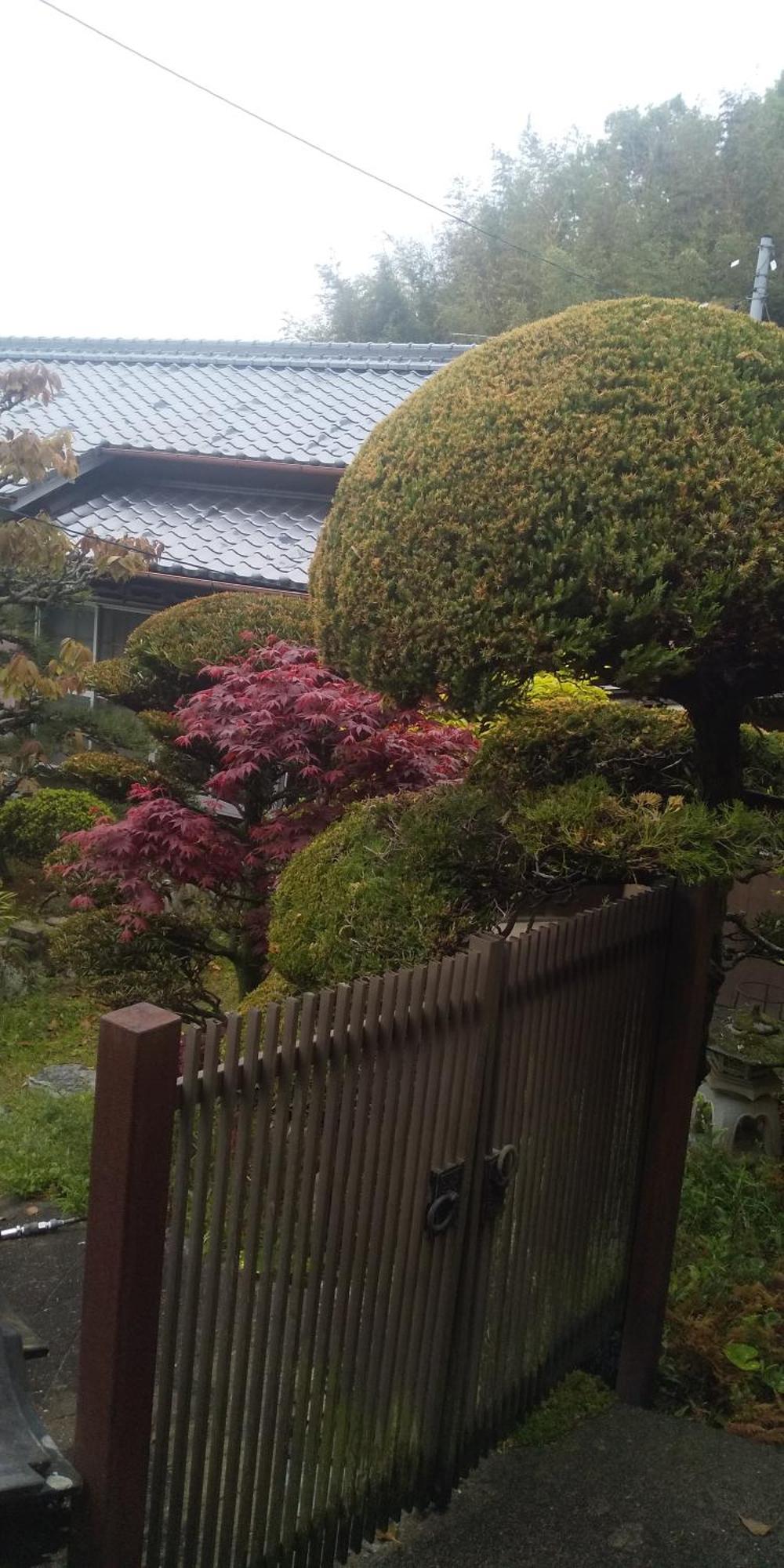 Sanuki  你好巴西旅馆酒店 外观 照片